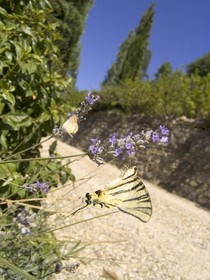 Marignolle Relais & Charme