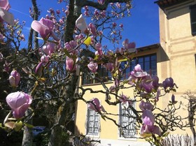 Relais Villa Ape Rosa