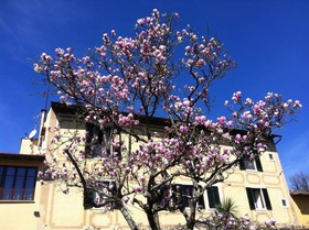 Relais Villa Ape Rosa