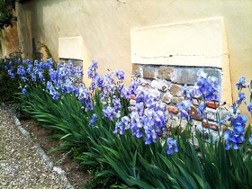 Relais Villa Ape Rosa