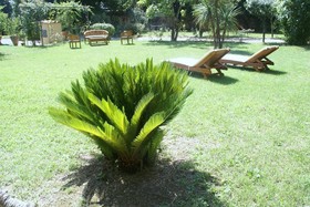 Relais Villa Ape Rosa