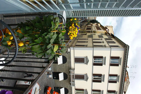 Residence Vespucci