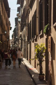 Residenza d'epoca Borgo Albizi