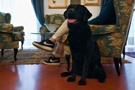 Rivoli Boutique Hotel