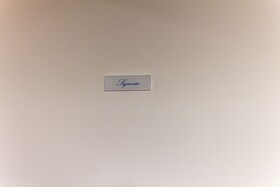 Room Eleven