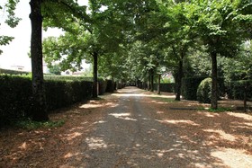 Rovezzano Bed and Breakfast