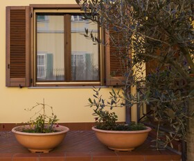 The Golden House Florence Suite