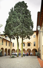 Villa La Stella Casa per Ferie