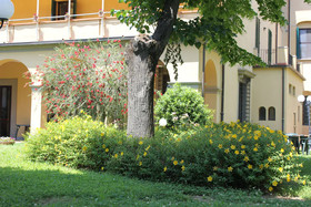 Villa La Stella Casa per Ferie