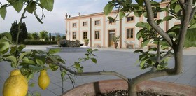 Villa Olmi Firenze