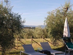 La Spiga d'Or