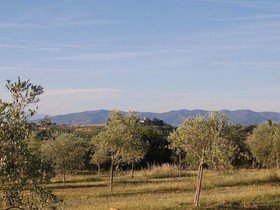 La Spiga d'Or
