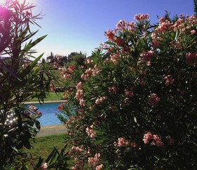 Villa La Lodola