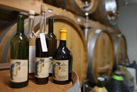 Agriturismo La Burlanda