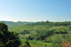 Agriturismo Il Pino