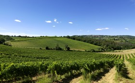Fattoria Primavera