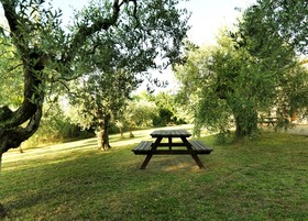Fattoria Primavera