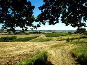 Fattoria Primavera