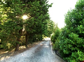 Fattoria Primavera