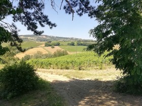 Villa Benedetta