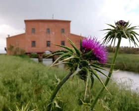 Podere La Concia