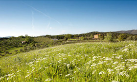Verdidea-Villa Tatti