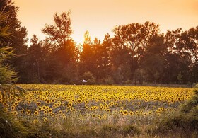 Country Borgo San't Ippolito