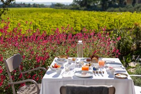 Villa Svetoni Wine Resort