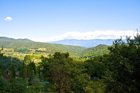 Lionforti da Vico B&B and Apartments