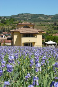 Residenza Le Grillaie