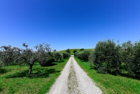 Agriturismo Buonavista