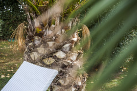 Fattoria San Lorenzo