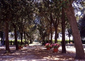 Razza Del Casalone