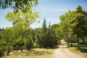Firenze Certosa camping