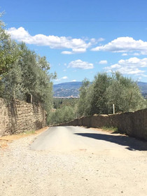 Firenze Certosa camping