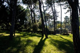 Hotel Villa Cesi
