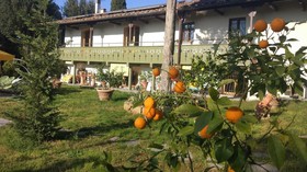 Raffaellos House Impruneta