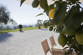 Relais Villa Belvedere