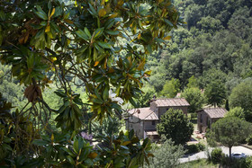Villa Norcenni Aparthotel