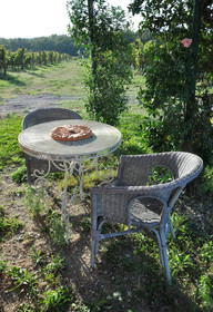 Fattoria Santa Lucia & Le Tagliate