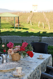 Fattoria Santa Lucia & Le Tagliate