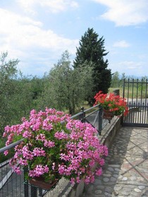 Agriturismo Nesti And Cupoli