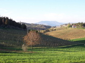 Villa Saulina Resort Hotel