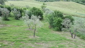 Villa Saulina Resort Hotel