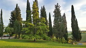 Villa Saulina Resort Hotel