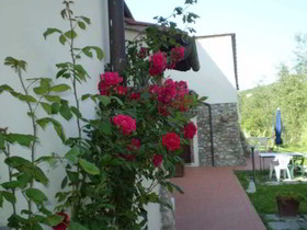 Villa Saulina Resort Hotel