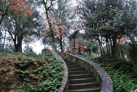 Toscana Verde