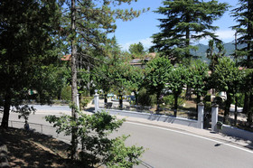 Nappini