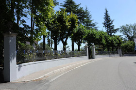 Nappini