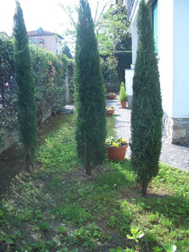 B&B Lucca Porta Sant’Anna